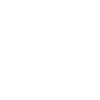 лого Камча белый